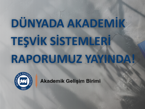 Dünyada Akademik Teşvik Sistemleri Raporu 2026